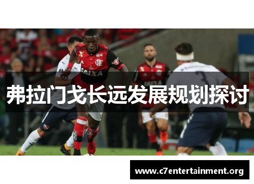 弗拉门戈长远发展规划探讨 弗拉门戈长远发展规划探讨