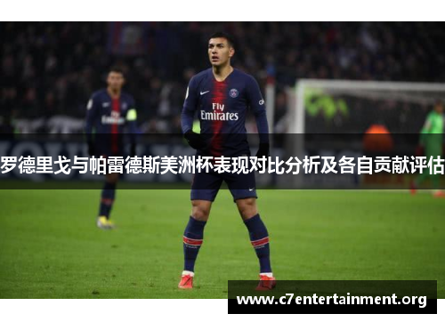 罗德里戈与帕雷德斯美洲杯表现对比分析及各自贡献评估 罗德里戈与帕雷德斯美洲杯表现对比分析及各自贡献评估