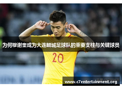 为何穆谢奎成为大连鲲城足球队的重要支柱与关键球员