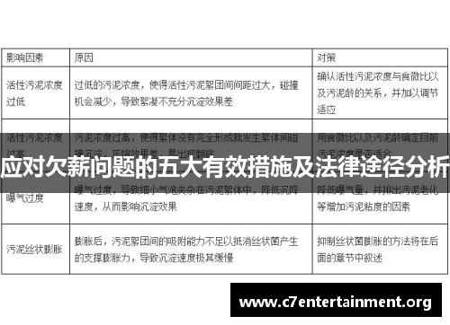 应对欠薪问题的五大有效措施及法律途径分析 应对欠薪问题的五大有效措施及法律途径分析