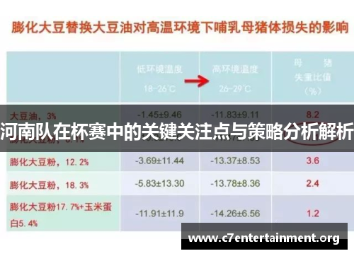 河南队在杯赛中的关键关注点与策略分析解析 河南队在杯赛中的关键关注点与策略分析解析