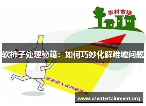 软柿子处理秘籍:如何巧妙化解难缠问题 软柿子处理秘籍:如何巧妙化解难缠问题