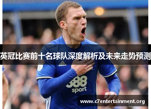 英冠比赛前十名球队深度解析及未来走势预测